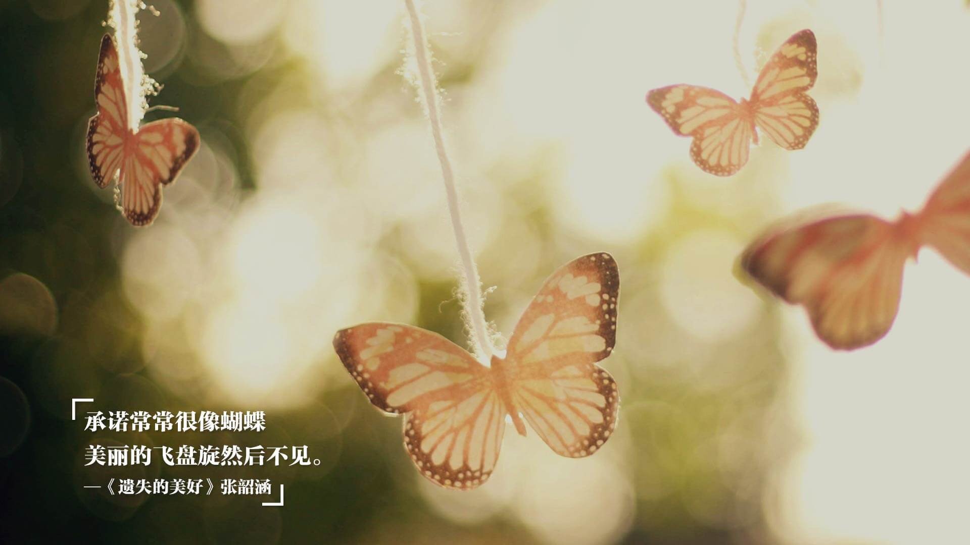 焦点人物：当红球星私下生活生活揭秘，球星日常