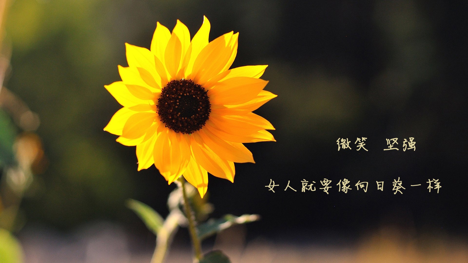 阿根廷队热身赛大胜智利队，士气高涨，阿根廷智利比赛结果
