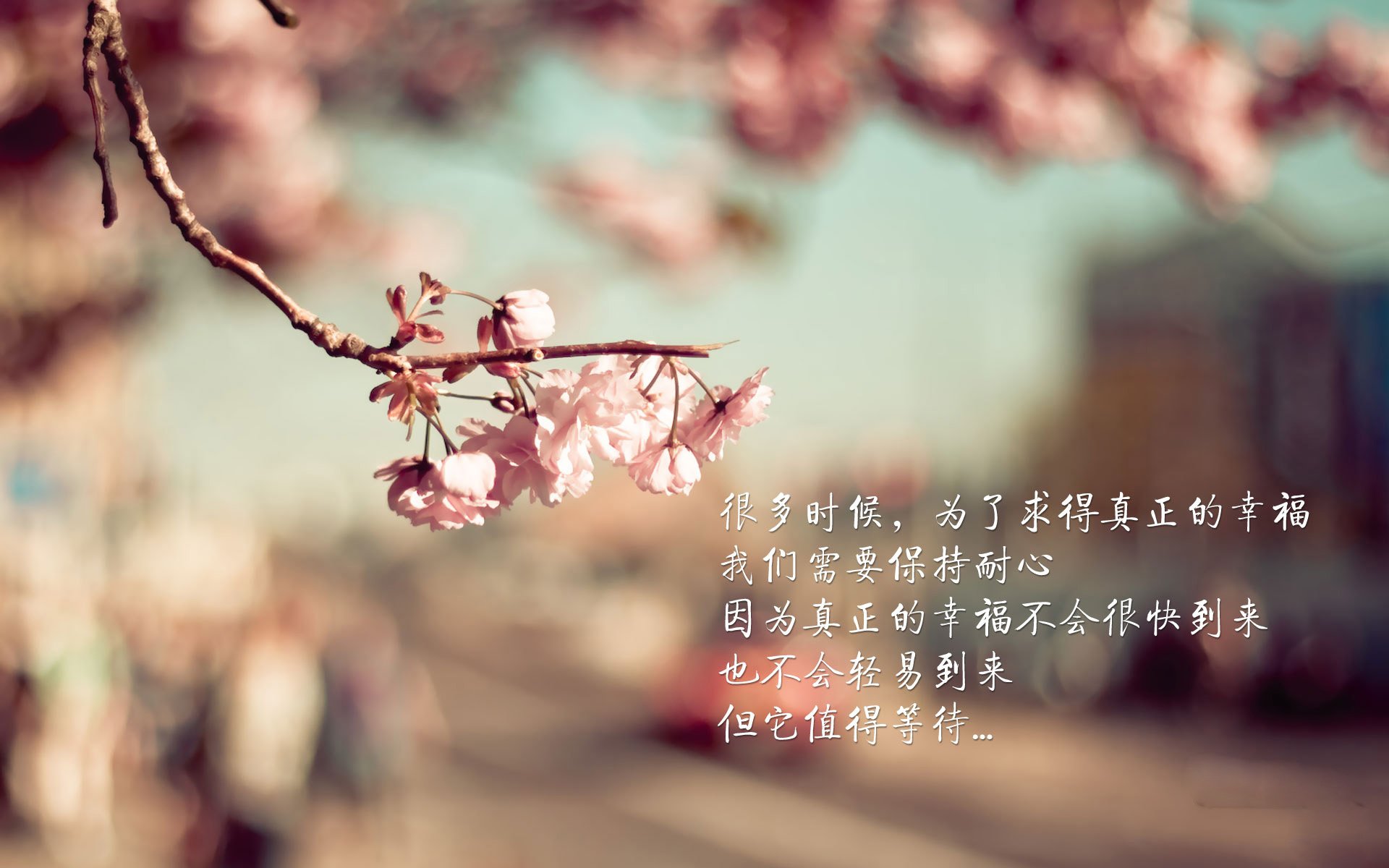 各地足球科普教育走入校园，培养青少年体育意识，全国青少年校园足球教学指南(试行)