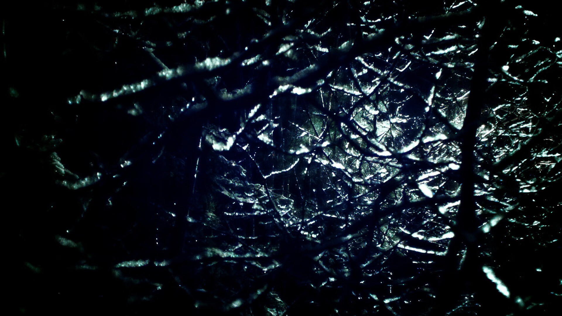 im体育官方登录网站入口-澳大利亚橄榄球的青训计划迎来突破，全球球员涌入，澳大利亚nrl橄榄球联赛