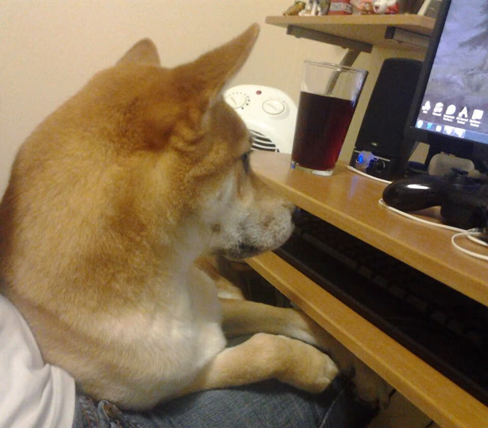 IM体育平台-青年队战术变化频繁力求应对不同类型国际强队挑战，青年队队长是谁