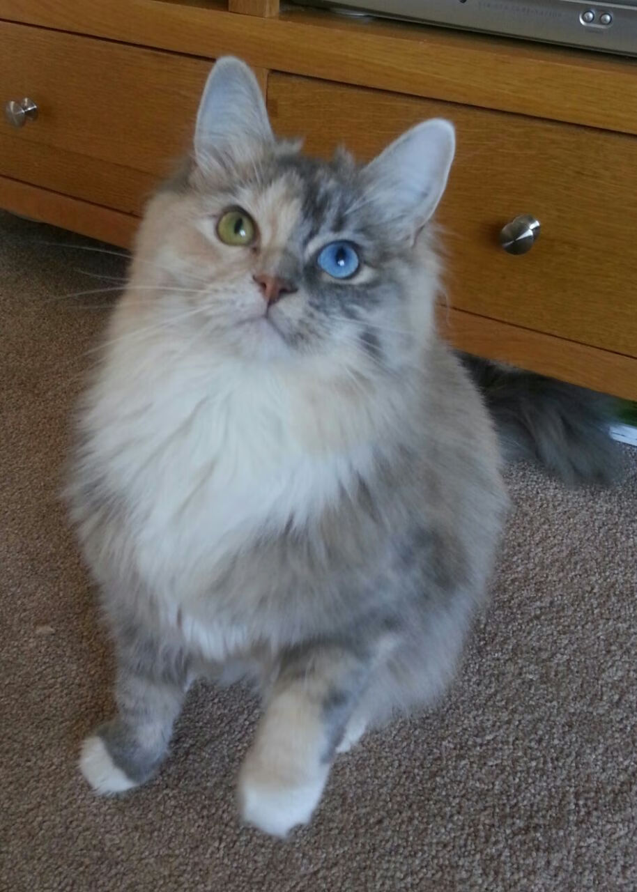 IM体育官方网站-骑士重点研究挡拆战术变化应对联盟趋势，骑士格挡伤害是什么意思