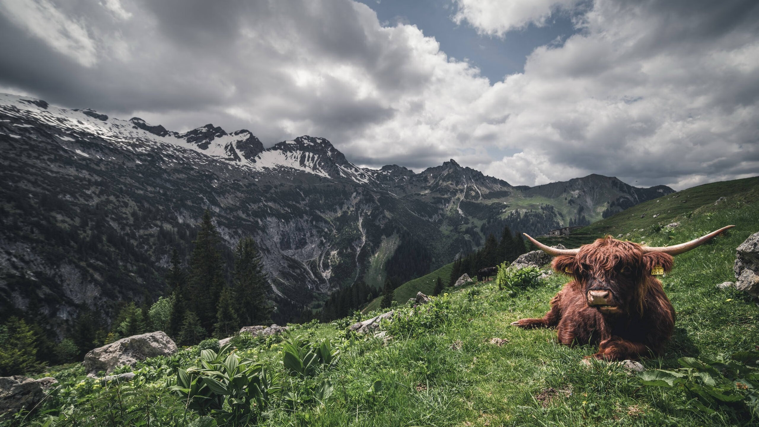 im体育app官网-英橄发展焦点正在从男队转向女队？，英式橄榄球赛程